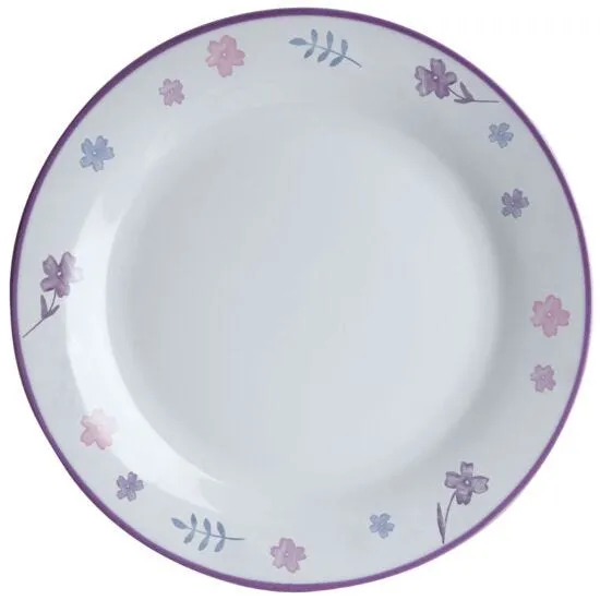 12pc Delicate Dinner Set