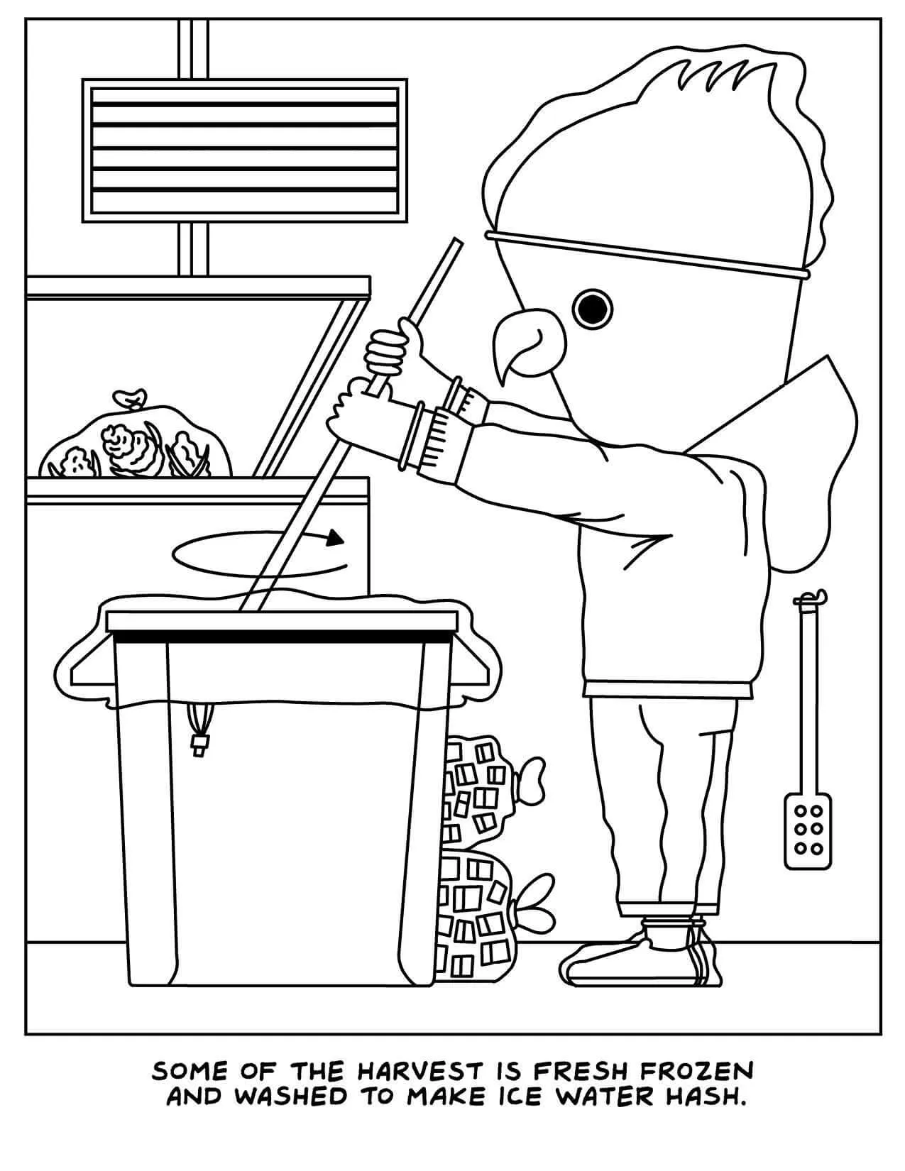 A Visit To The Cannabis Farm Coloring Book