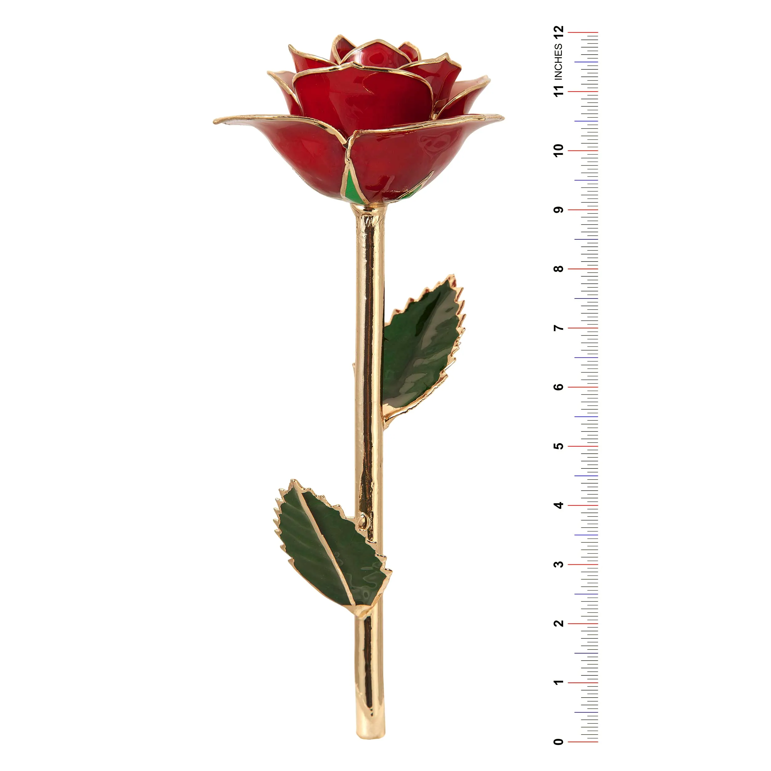 Blushed Pink 24K Gold Dipped Rose