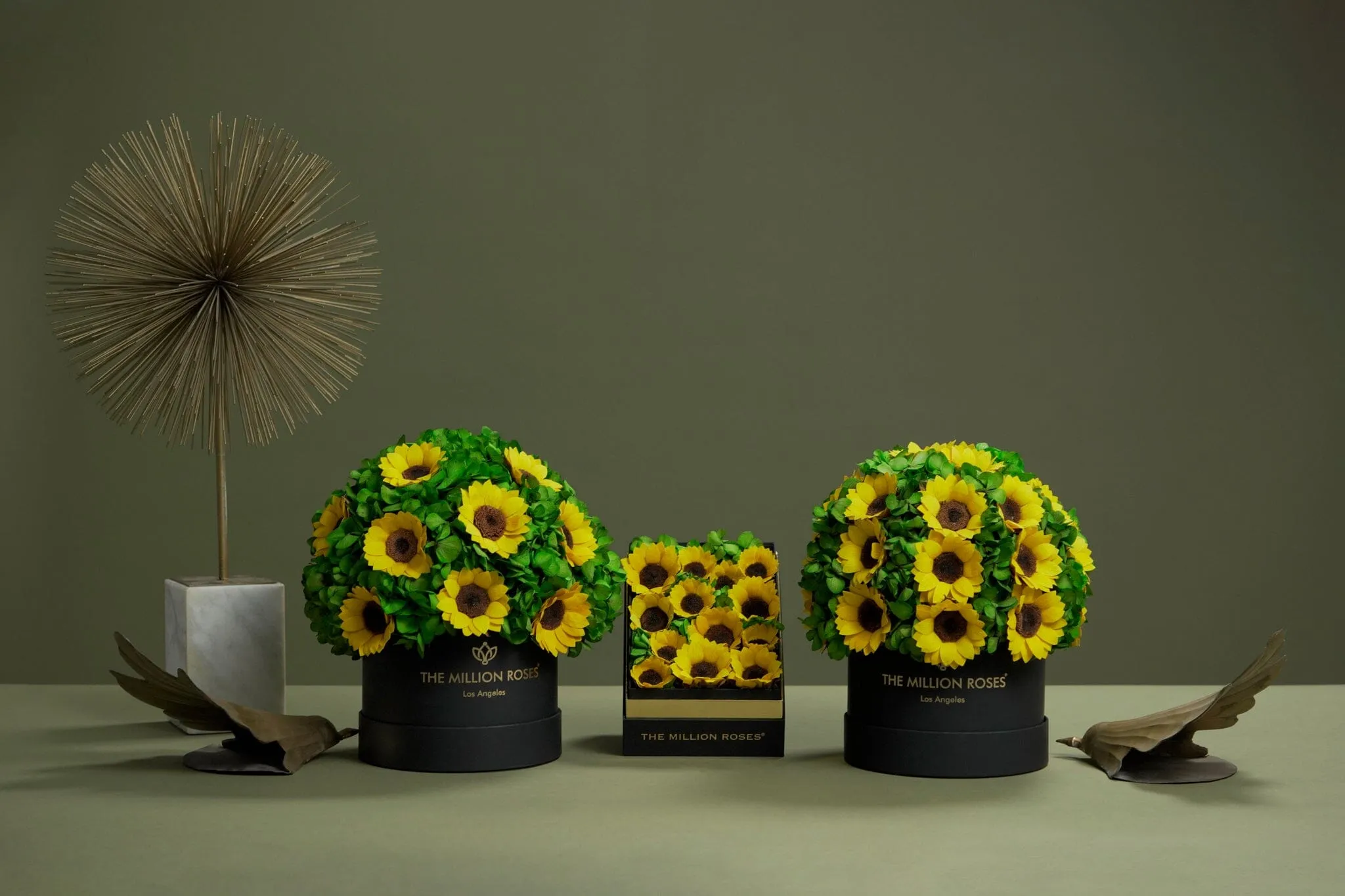 Classic Black Box | Green Hydrangeas & Sunflowers