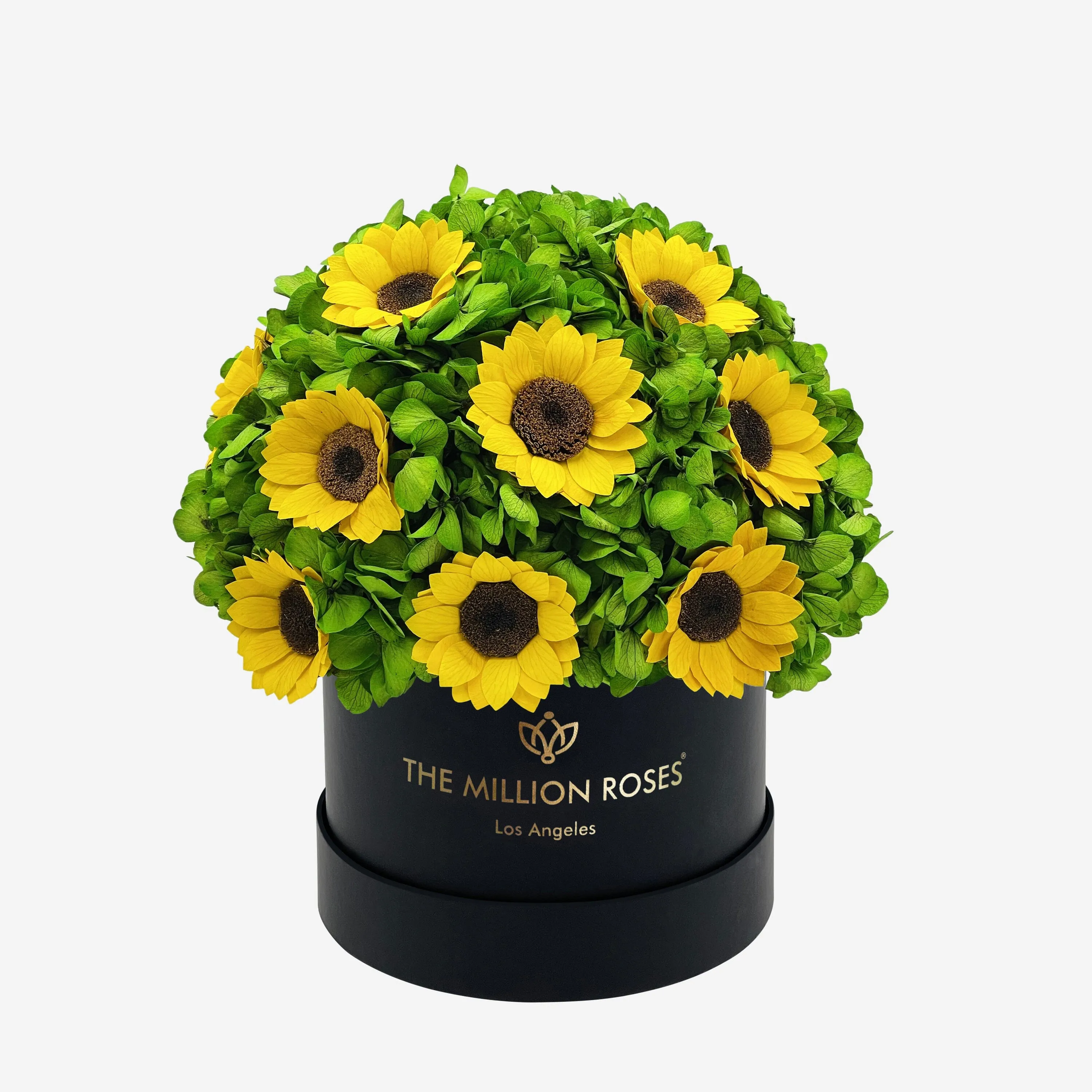 Classic Black Box | Green Hydrangeas & Sunflowers