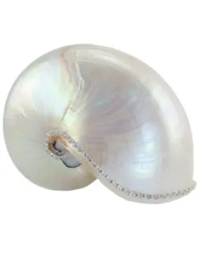 Neptune's Jewels Crystal Shell Collection Pearl Nautilus