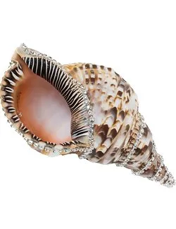 Neptune's Jewels Crystal Shell Collection Triton