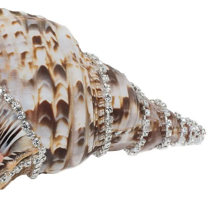 Neptune's Jewels Crystal Shell Collection Triton