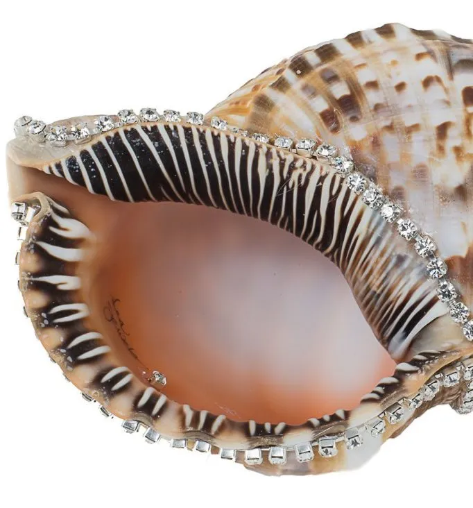 Neptune's Jewels Crystal Shell Collection Triton