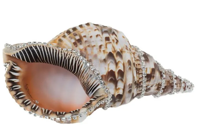 Neptune's Jewels Crystal Shell Collection Triton